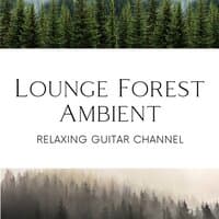 Lounge Forest Ambient