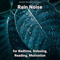 Rain Noise for Bedtime, Relaxing, Reading, Motivation