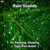 #01 Rain Sounds for Relaxing, Sleeping, Yoga, Pain Relief