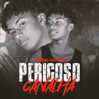 Perigoso Canalha