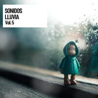 Sonidos Lluvia Vol. 5, La Libreria de lluvia, Colleccion de sonidos de lluvia