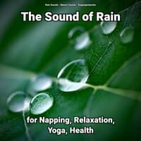 The Sound of Rain for Napping, Relaxation, Yoga, Health