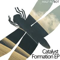 Catalyst Formation - EP