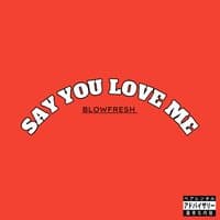 Say you love me