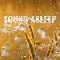 Sound Asleep: Pure Evening Rain Sounds 2