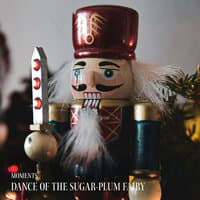 Dance of the Sugar-Plum Fairy