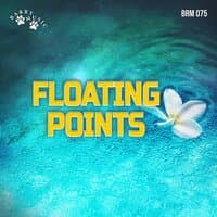 Floating Points