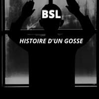 Histoire d'un gosse