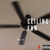 Ceiling Fan