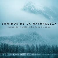 Sonidos De La Naturaleza: Sanación Y Nutrición Para El Alma