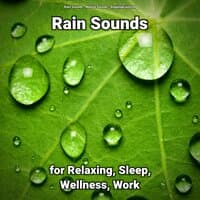 Rain Sounds for Relaxing, Sleep, Wellness, Work