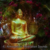 41 Atmospheric Meditation Sounds