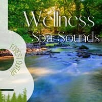 Wellness Spa Sounds (New Age Music)