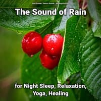 The Sound of Rain for Night Sleep, Relaxation, Yoga, Healing