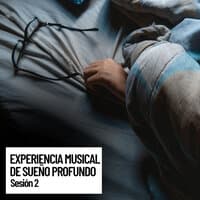 Experiencia musical de sueño profundo: Relaxing Music