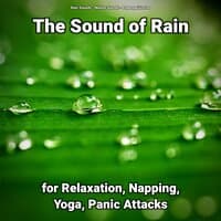 The Sound of Rain for Relaxation, Napping, Yoga, Panic Attacks