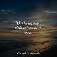 40 Therapeutic Relaxation and Zen