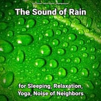 The Sound of Rain for Sleeping, Relaxation, Yoga, Noise of Neighbors