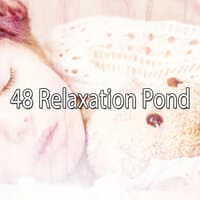 48 Relaxation Pond