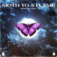 Moth To A Flame