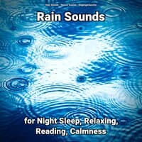 Rain Sounds for Night Sleep, Relaxing, Reading, Calmness