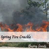 Burning Sounds: Spring Fire Crackle