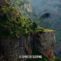 51 Spirit Of Sleeping