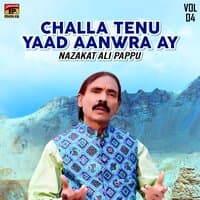 Challa Tenu Yaad Aanwra Ay, Vol. 4