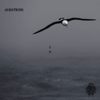 Albatross