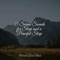 35 Serene Sounds for Sleep and a Peaceful Sleep