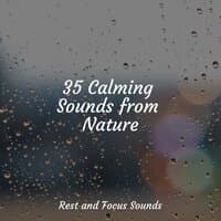 35 Calming Sounds from Nature