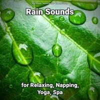 Rain Sounds for Relaxing, Napping, Yoga, Spa