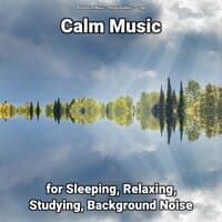 Calm Music for Sleeping, Relaxing, Studying, Background Noise