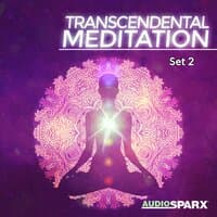 Transcendental Meditation, Set 2