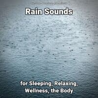 Rain Sounds for Sleeping, Relaxing, Wellness, the Body