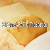 28 Storms & Rain For The Bedroom