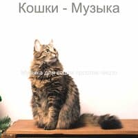 Кошки - Музыка