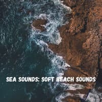 Sea Sounds: Soft Beach Sounds