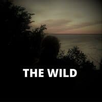 The Wild