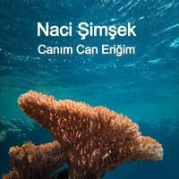 Canım Can Eriğim