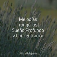 Melodías Tranquilas | Sueño Profundo y Concentración