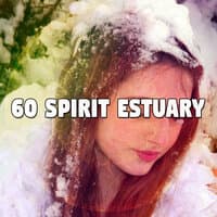 60 Spirit Estuary