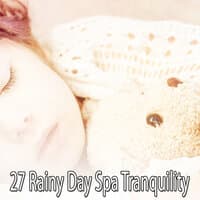 27 Rainy Day Spa Tranquility