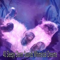 40 Sleepy Storm Sounds Whimsical Dreams