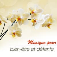 Musique pour le bien-être et la détente, chakra, sommeil profond, yoga, zen spa, et la méditation