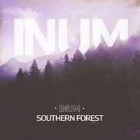 Southern Forest