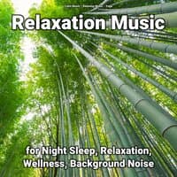 Relaxation Music for Night Sleep, Relaxation, Wellness, Background Noise