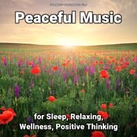 Peaceful Music for Sleep, Relaxing, Wellness, Positive Thinking