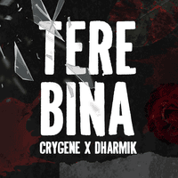 Tere Bina