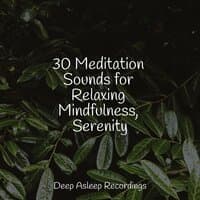 30 Meditation Sounds for Relaxing Mindfulness, Serenity